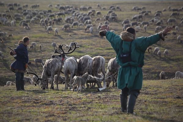 Люди и олени